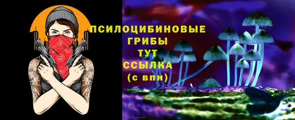спиды Алексеевка