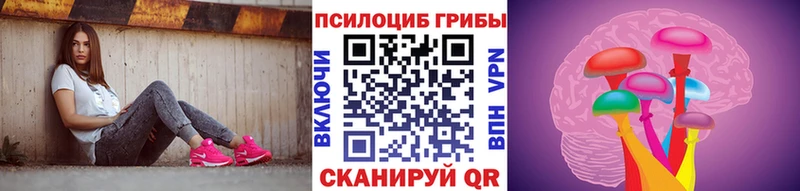 KRAKEN онион  наркошоп  Заинск  Псилоцибиновые грибы Magic Shrooms 